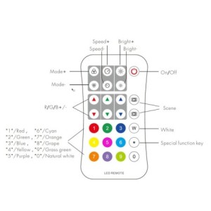 "Inatus" 2.4G RF RGBW remote control (27 buttons)