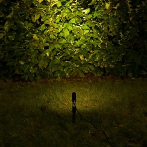LED Garden Spotlight "Flavius" 3W 3000K 12V Black