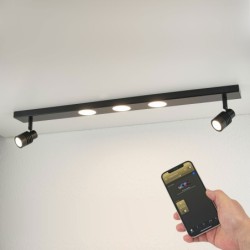 Zigbee LED plafón 5 luces, 31W, regulable 3000K (módulo de luz cambiable)